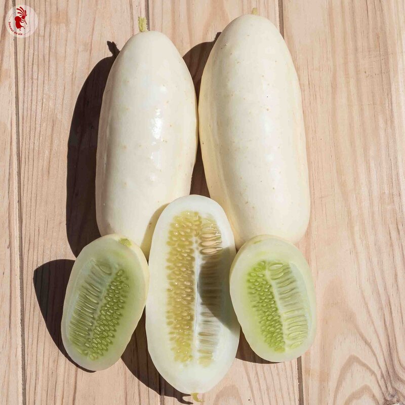 Cucumbers - Half-Long White