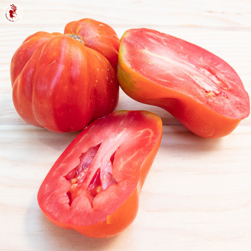 Tomatoes - Canestrino Di Lucca