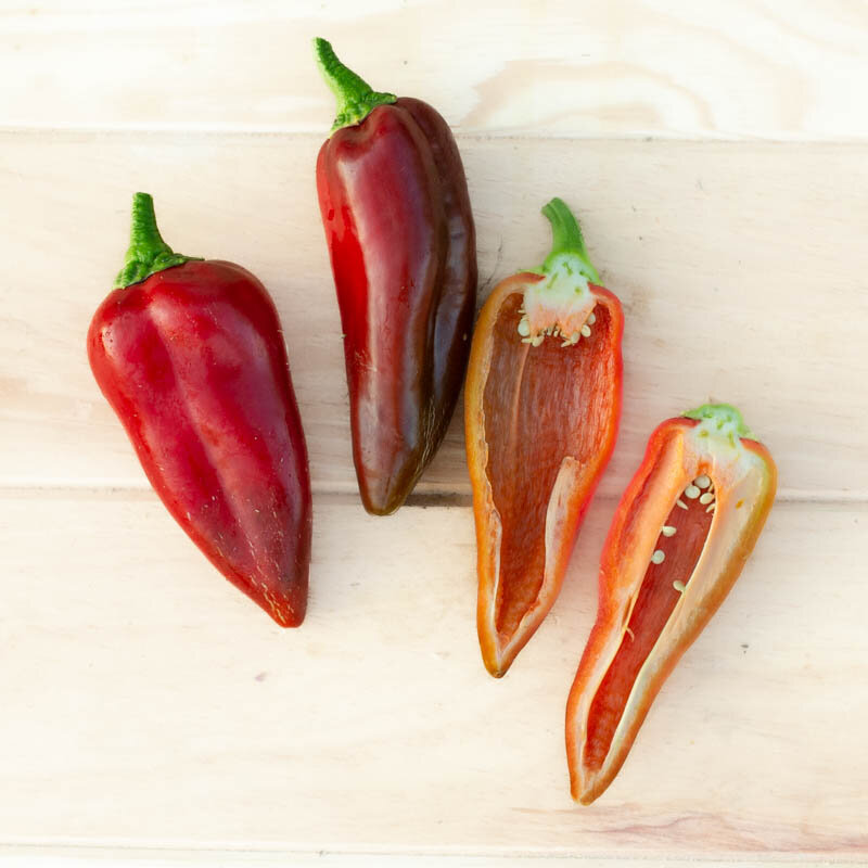 Peppers - Stocky Red Roaster