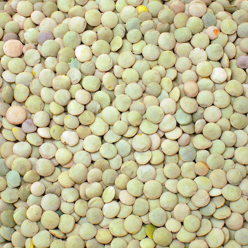 Lentil - Green