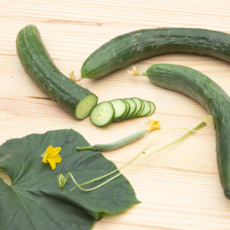 Cucumbers - Arola