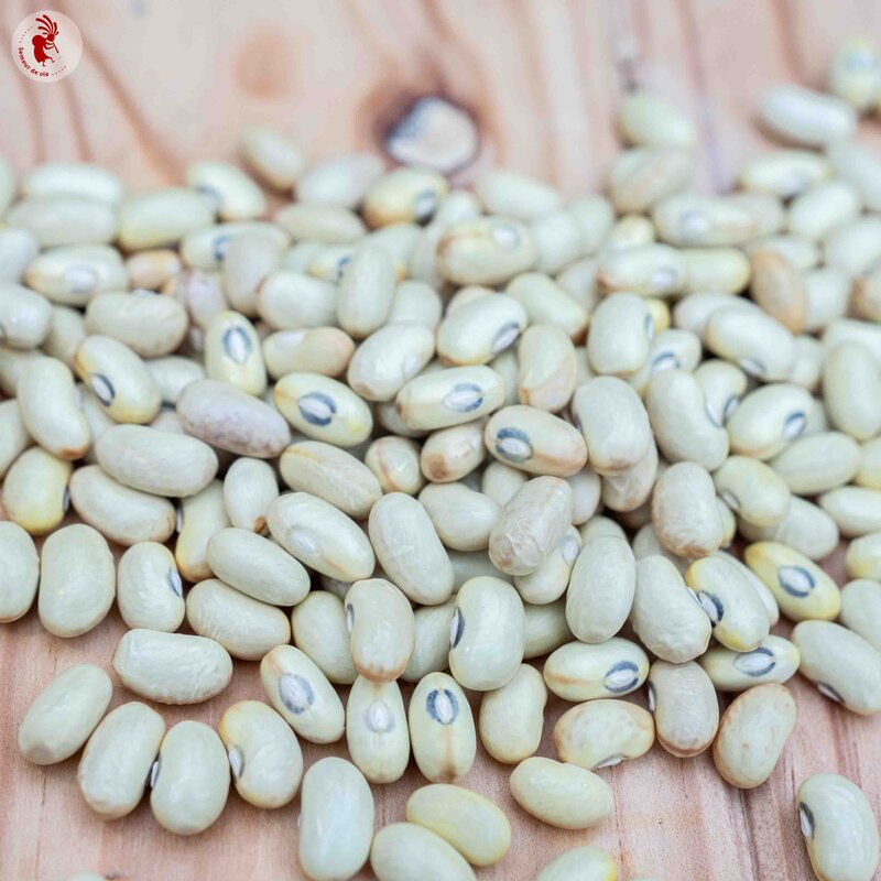 Common Bean - Coco Jaune du Limousin