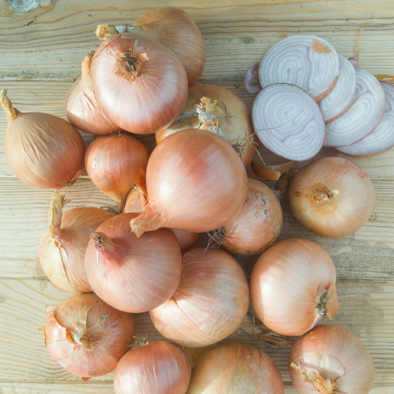 Onions - Rosé d'Armorique