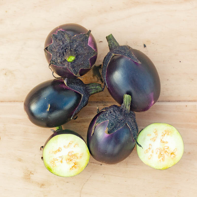 Eggplants - Bambino