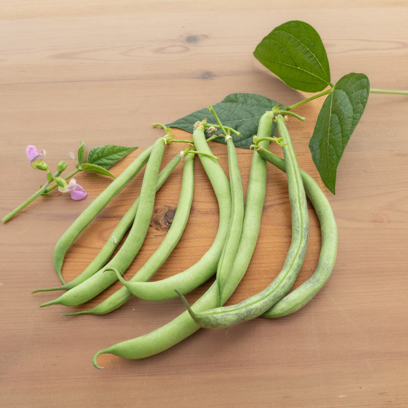 Common beans - Codair