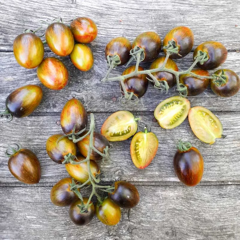 Cherry tomatoes - Brad's Atomic Grape