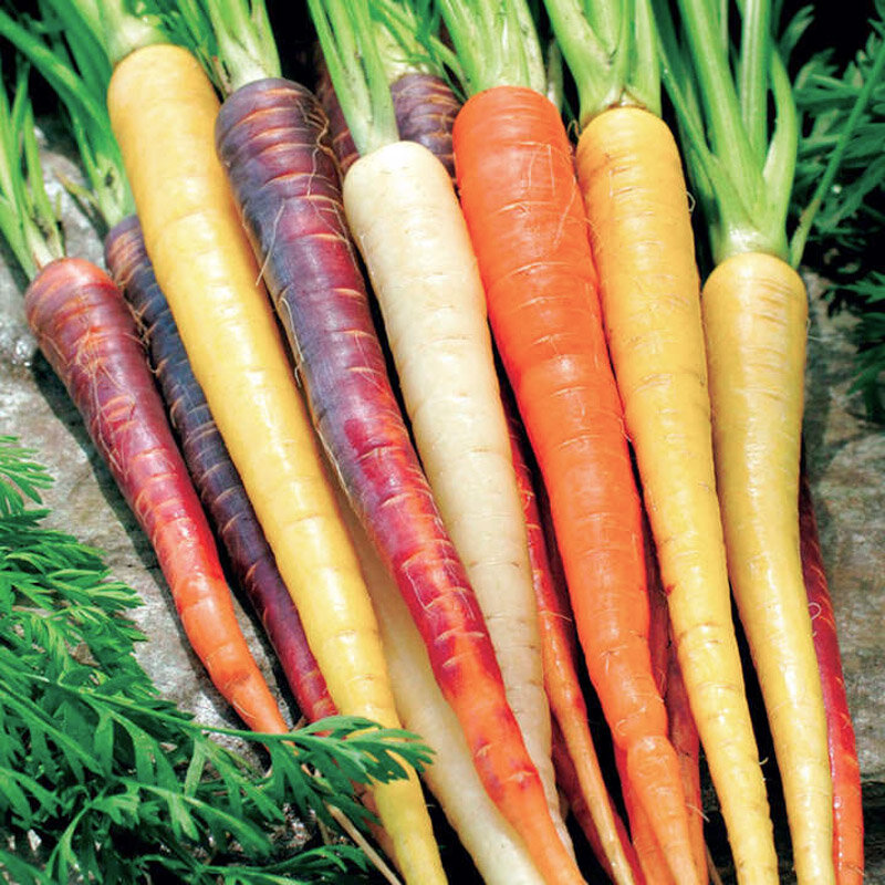 Carrots - Mixed Carrots