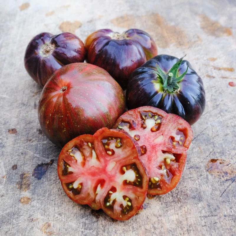 Tomatoes - Marsha's Starfighter Beefsteak