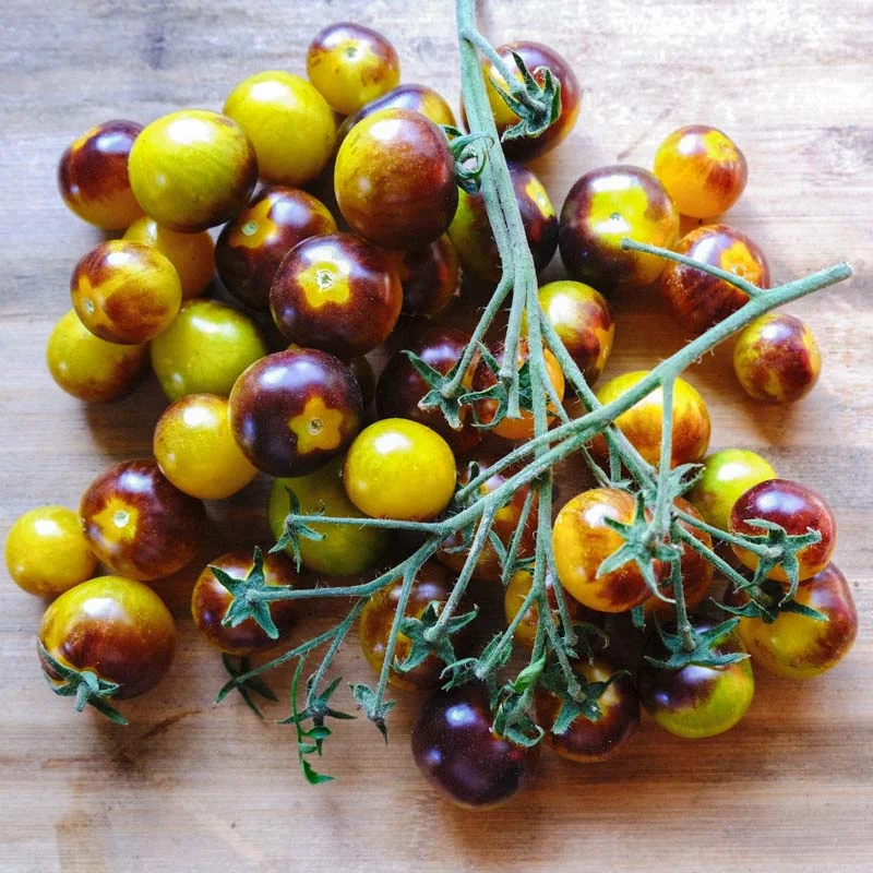 Cherry tomatoes - Awesome Emma