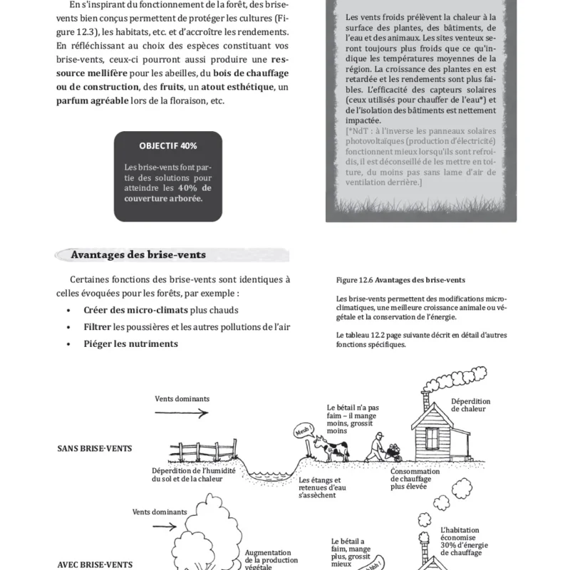 Permaculture - A step-by-step guide to permaculture