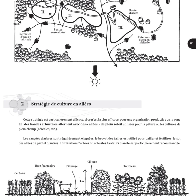 Permaculture - A step-by-step guide to permaculture