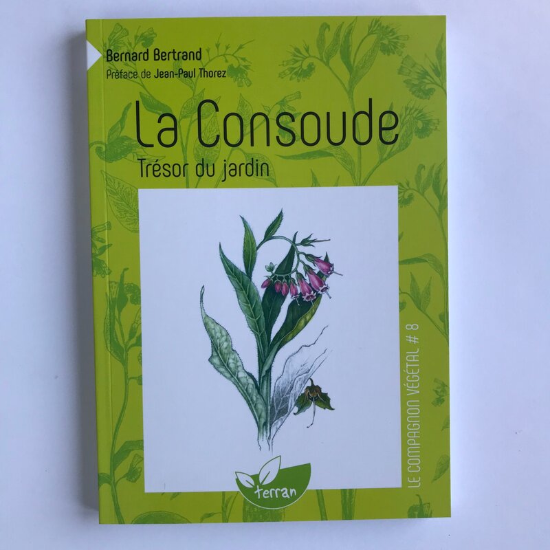 Plant Knowledge - Vol. 8 - Comfrey, the treasure of the garden