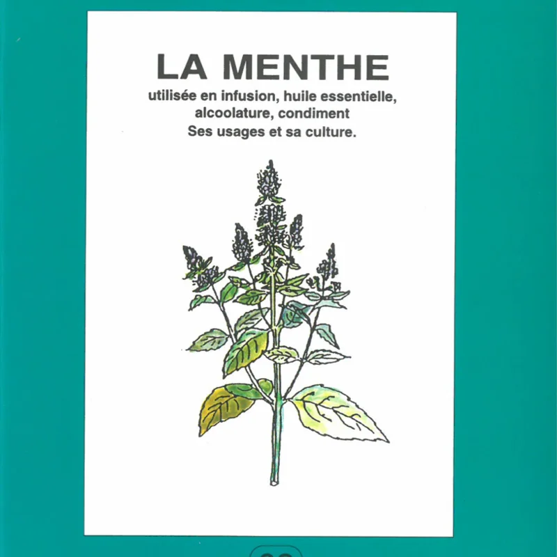 Plant Knowledge - Mint