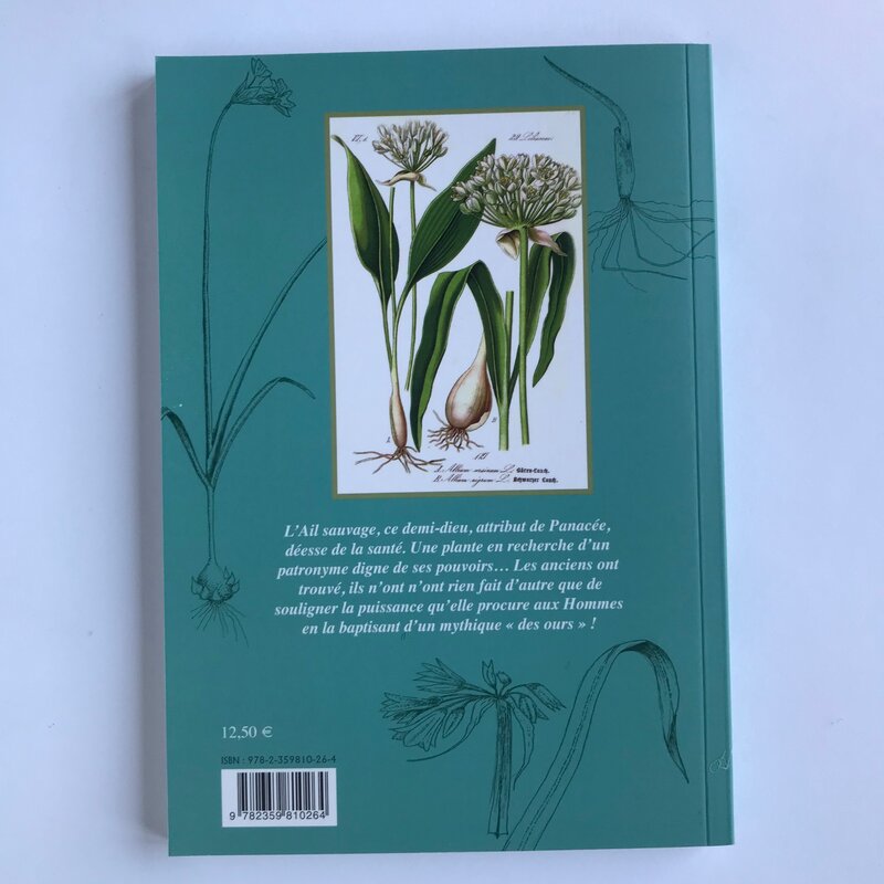 Plant Knowledge - Vol. 17 - Bear's garlic
