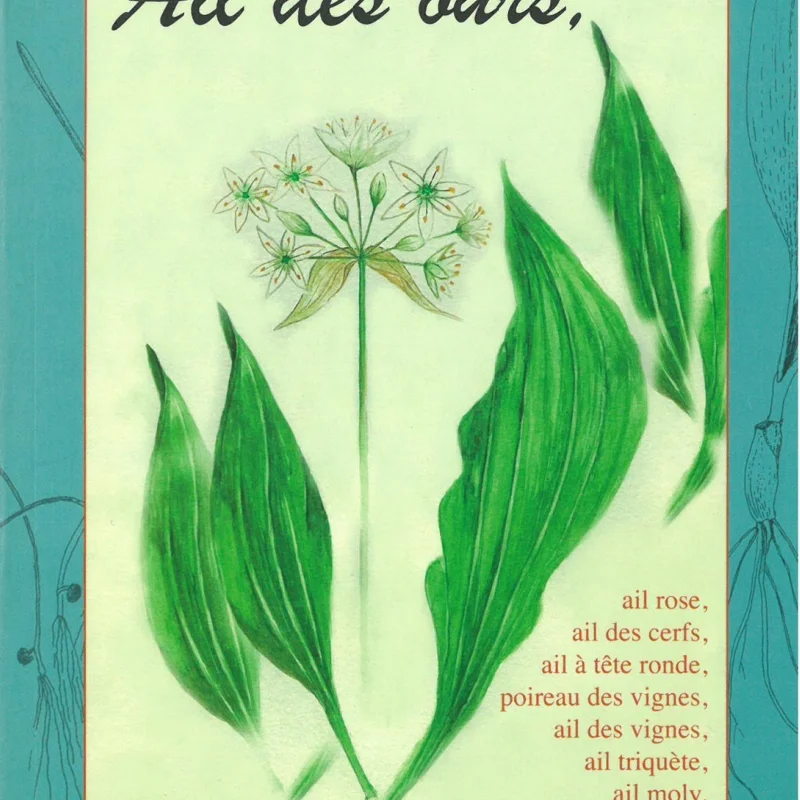 Plant Knowledge - Vol. 17 - Bear's garlic