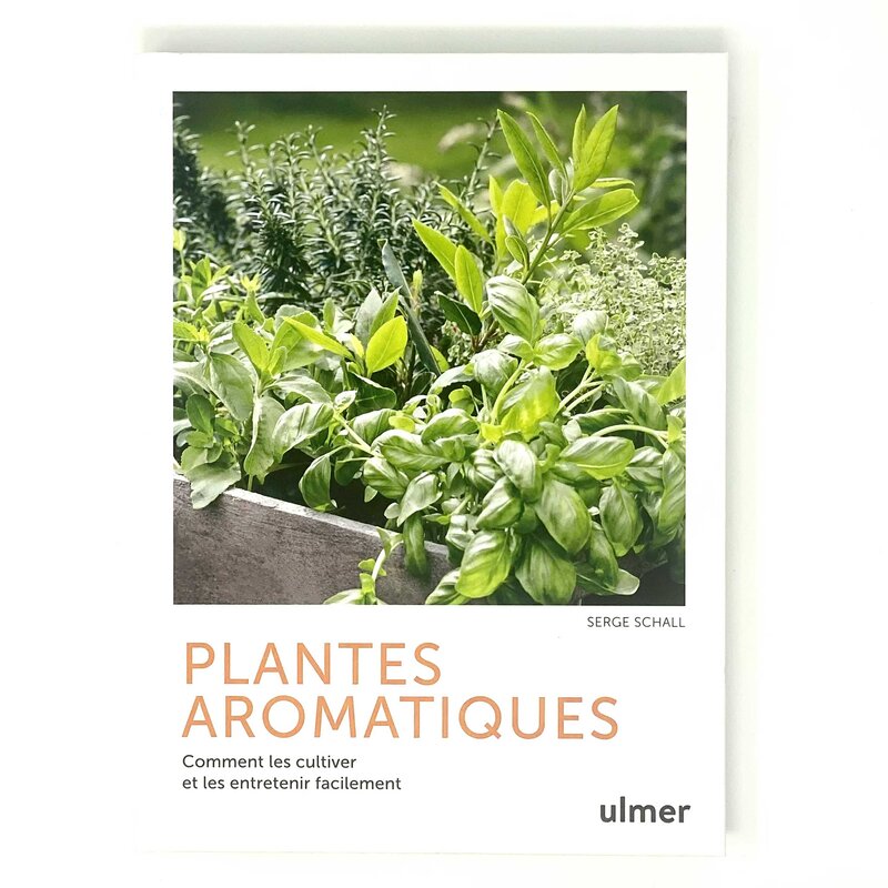 Plant Knowledge - Aromatic plants
