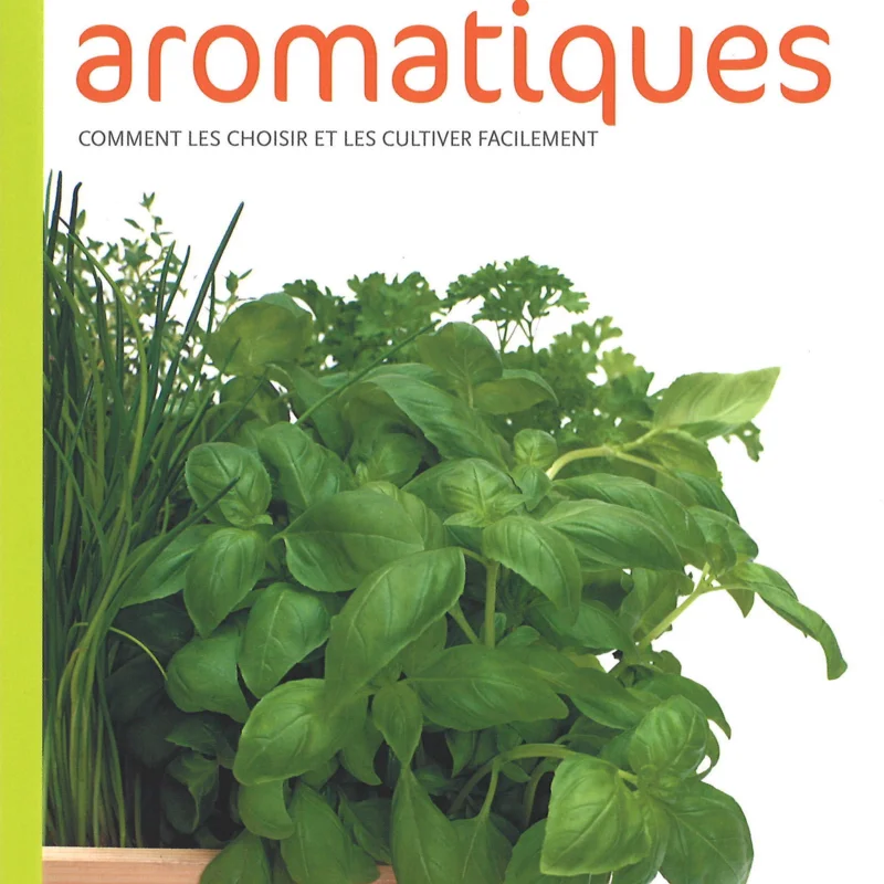 Plant Knowledge - Aromatic plants