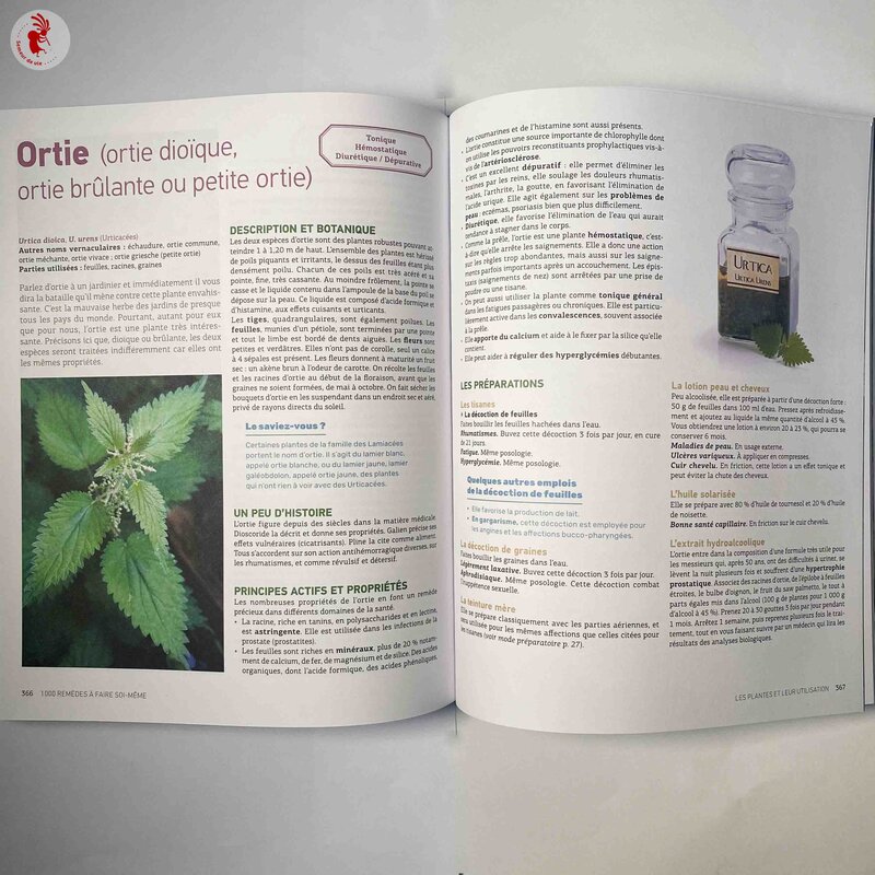 Medicinal plants - THE Terre Vivante guide - 1000 do-it-yourself remedies: mother tinctures, balms, lotions, syrups, herbal teas...