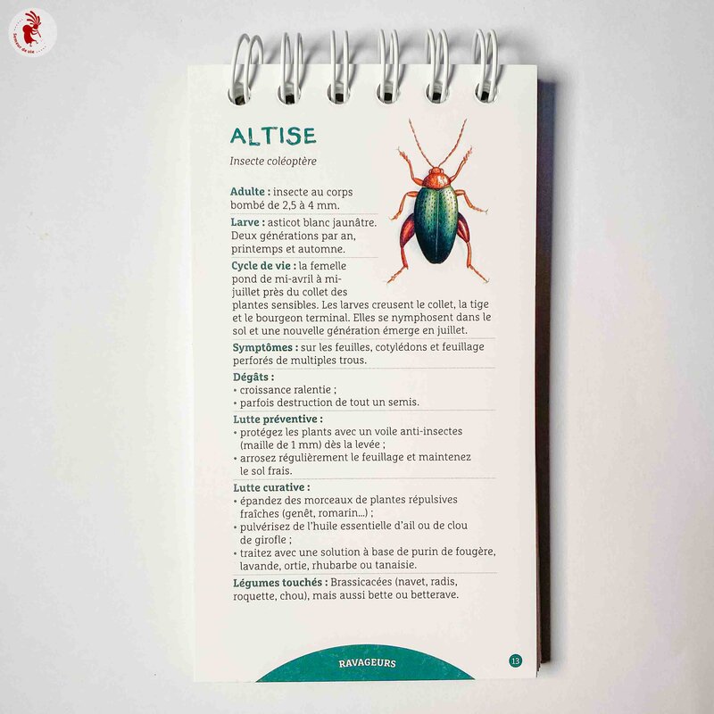 Diseases and pests - Les anti-sèches Terre vivante: pests and diseases