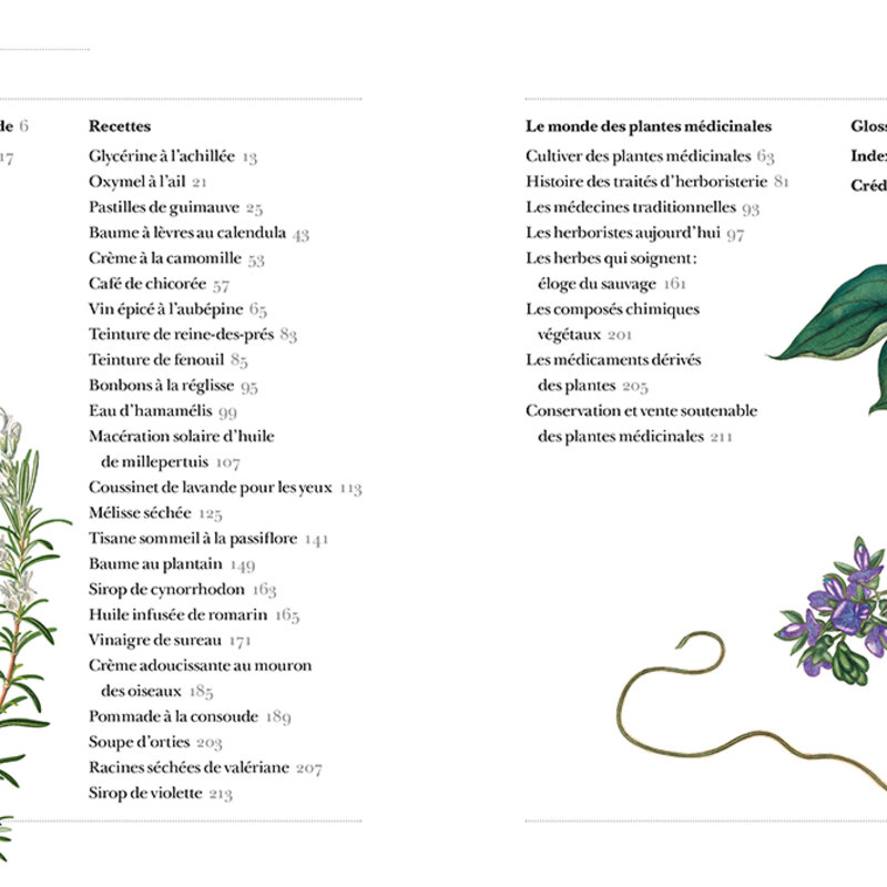 Medicinal plants - Essential medicinal plants from Western, Chinese and Indian pharmacopoeias.