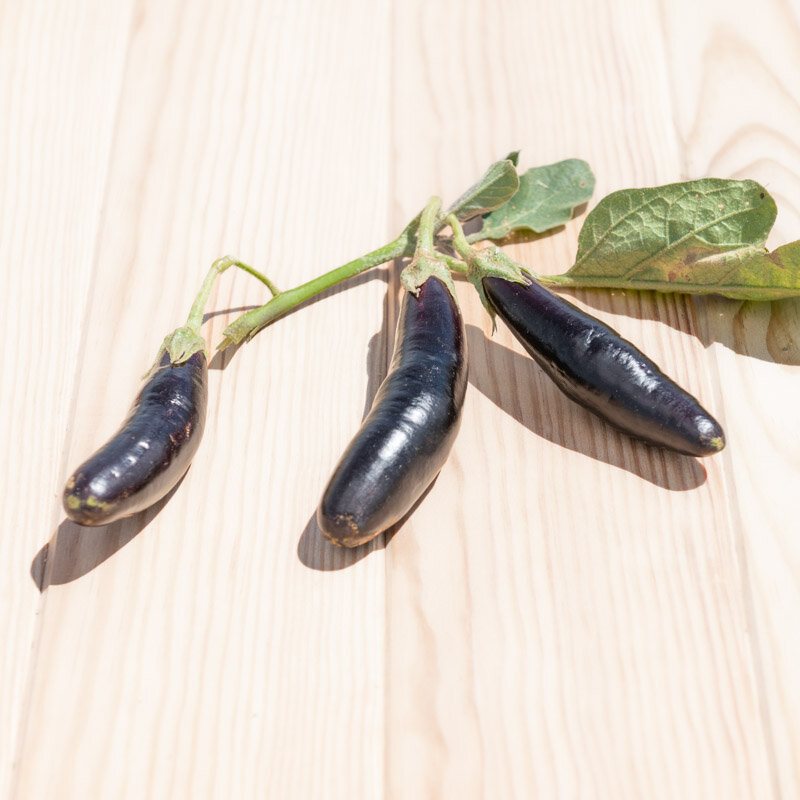 Eggplants - Little Fingers