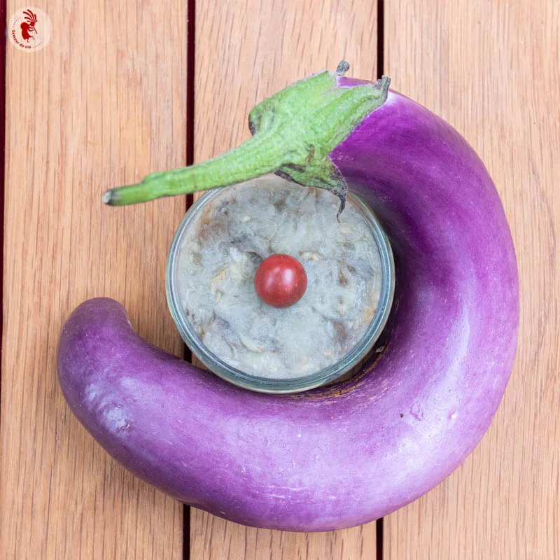 Eggplants - Ping Tung