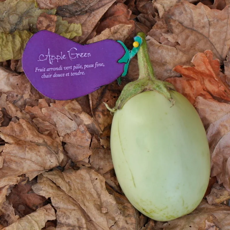 Eggplants - Apple Green