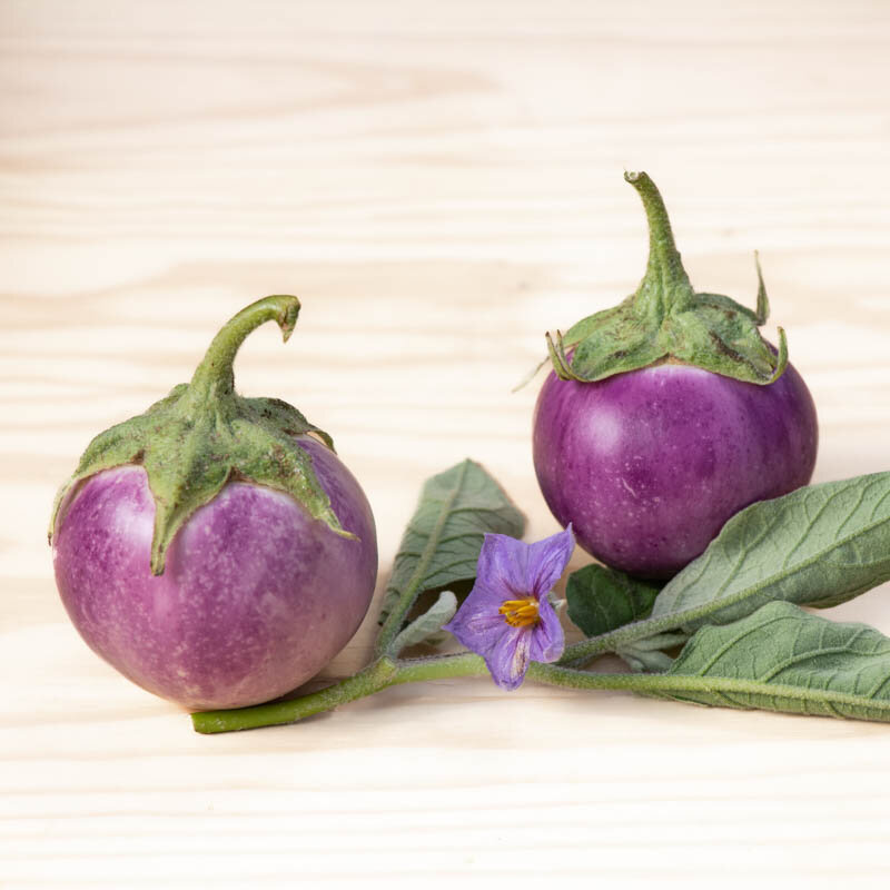 Eggplants - Lao Lavender