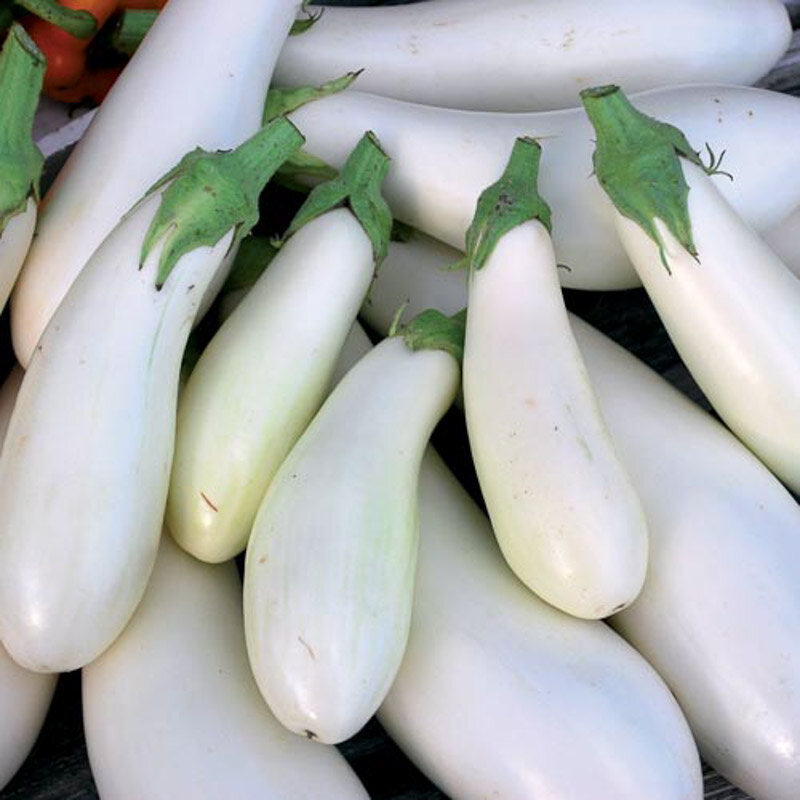 Eggplants - Casper