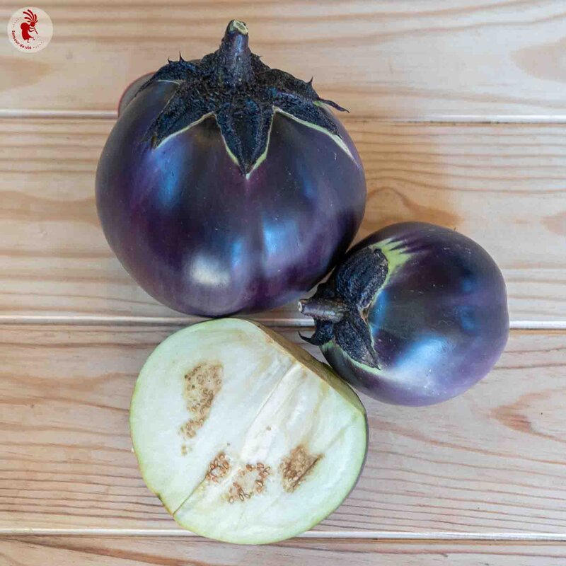 Eggplants - Ronde de Valence