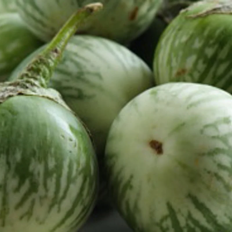 Eggplants - Thai Round Green