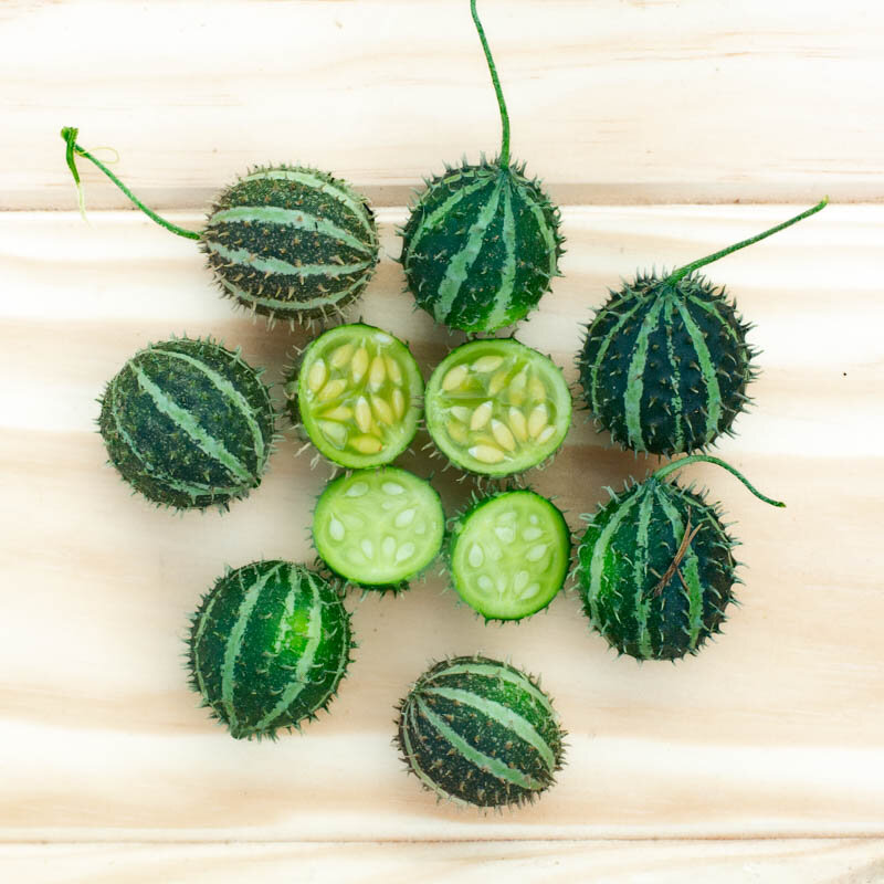 Cucumbers - Redcurrant cucumber