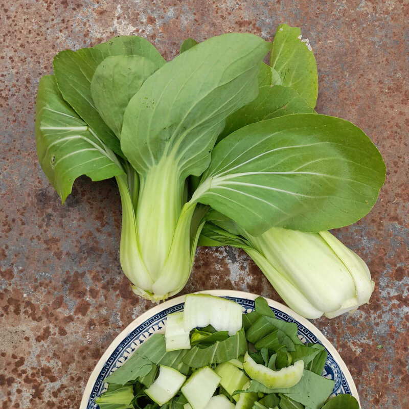 Chinese cabbage - Shanghai Pak Choy