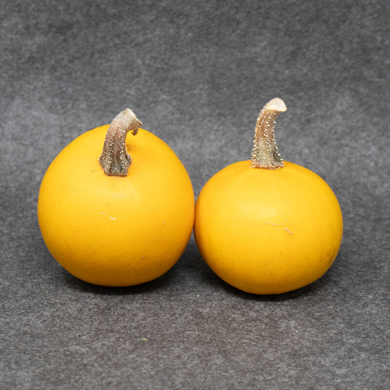 Pepo squash - Pomme d'Or