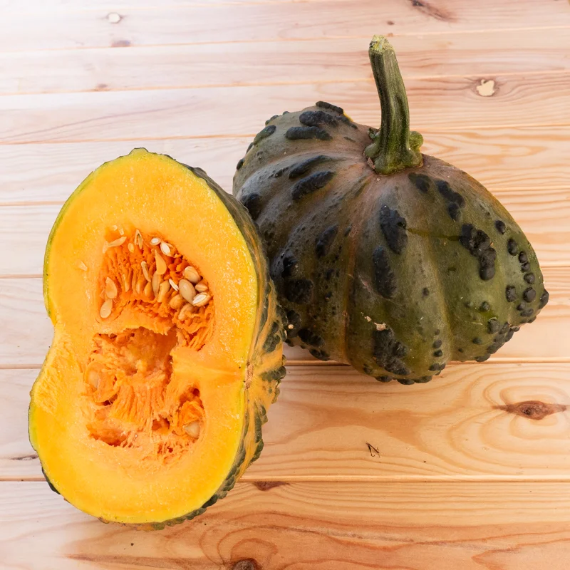 Moschata squash - Musquée du Maroc