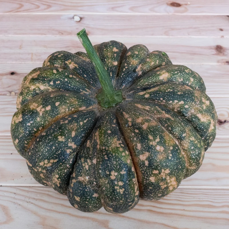 Moschata squash - Thai Kang Kob