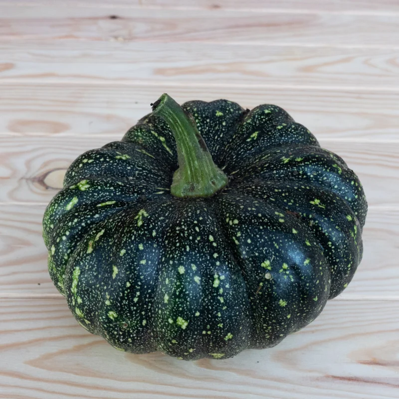 Moschata squash - Thai Kang Kob