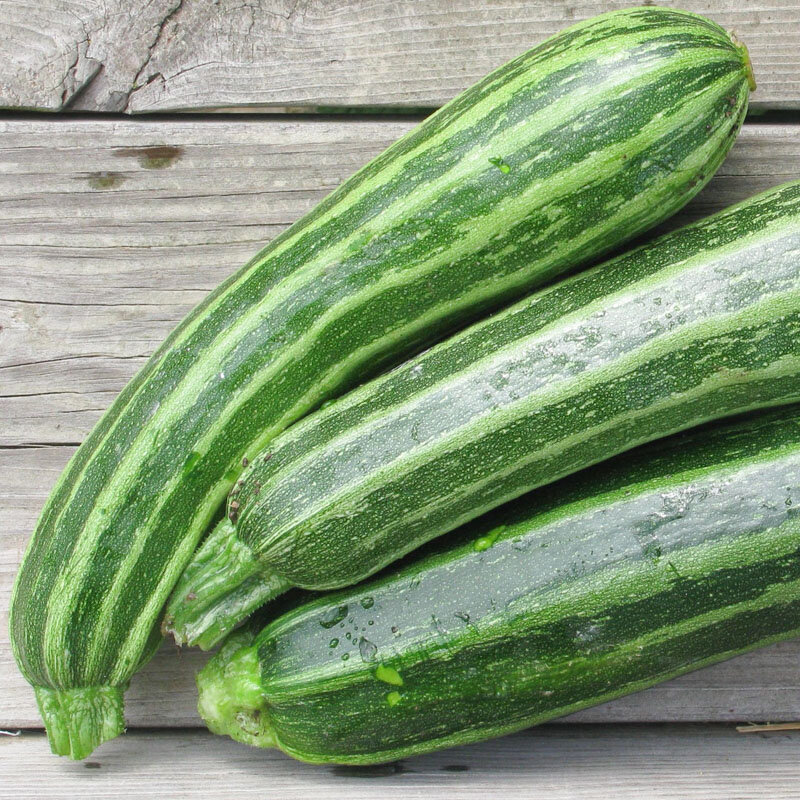 Zucchinis - Cocozelle