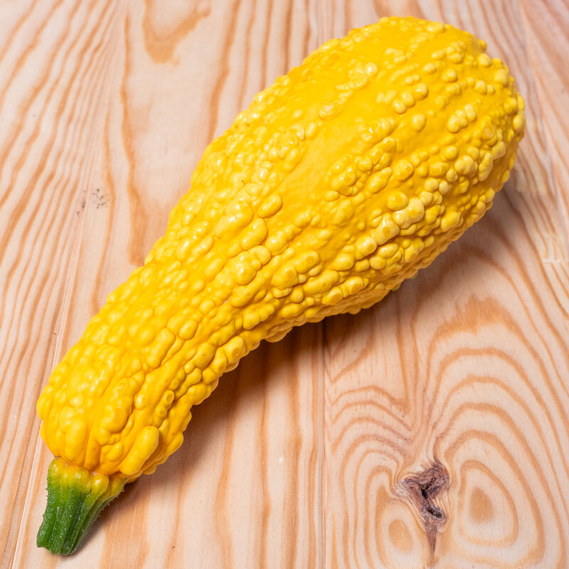 Zucchinis - Yellow Crookneck 