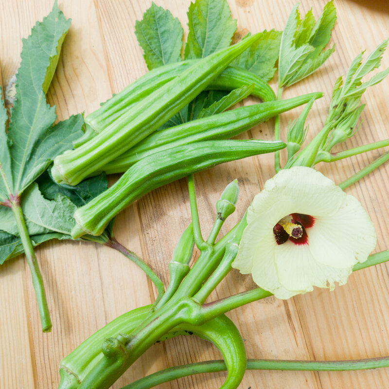 Okra - Perkins Long Pod