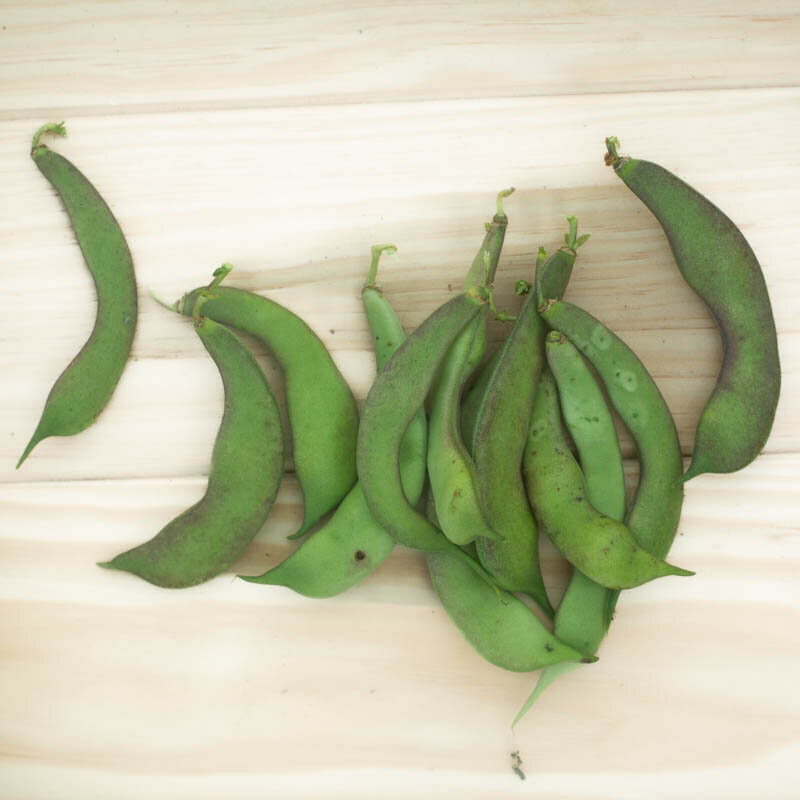Common Bean - À Goût de Châtaigne d'Échenans