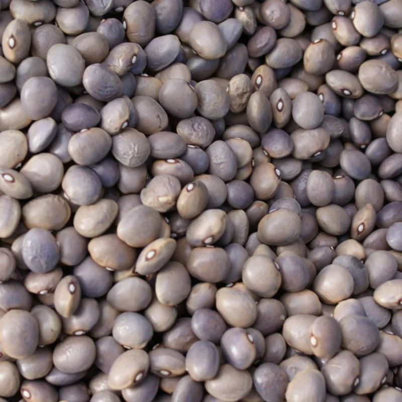 Common Bean - À Goût de Châtaigne d'Échenans