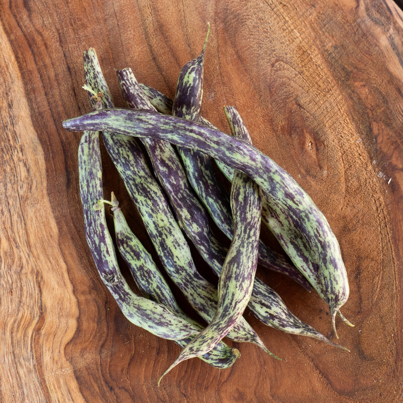 Common beans - La Vigneronne