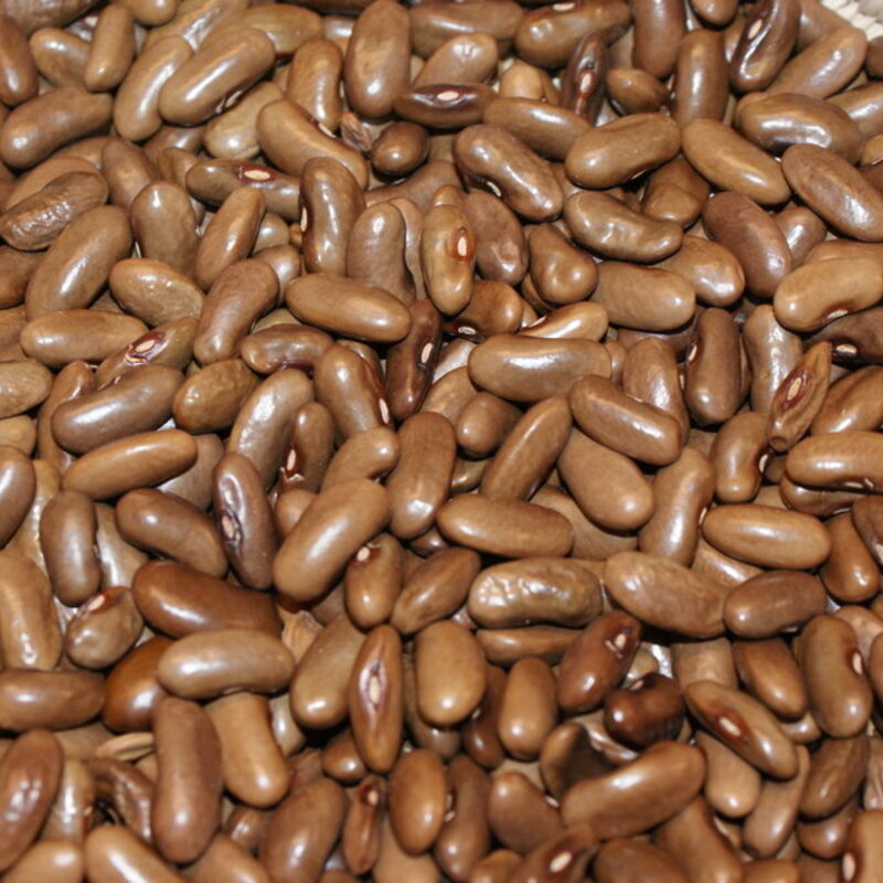 Common beans - Saint Fiacre