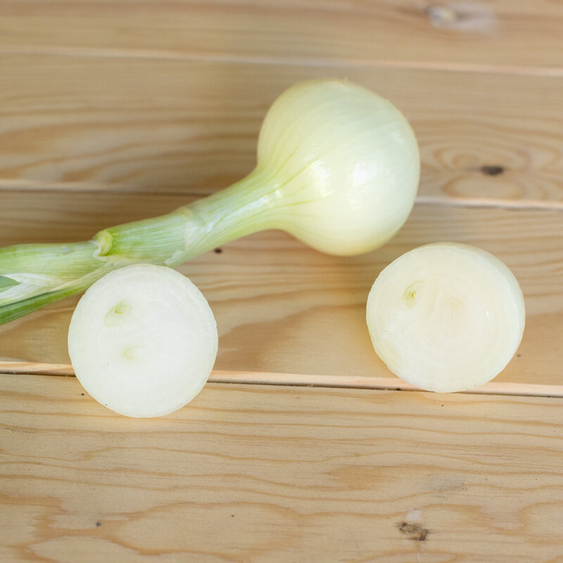 Onions - Dorata di Parma