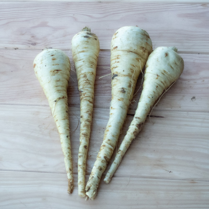 Parsnips - Turga