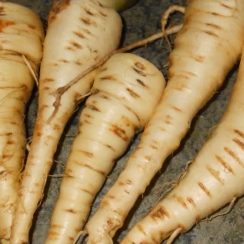 Parsnips - Turga