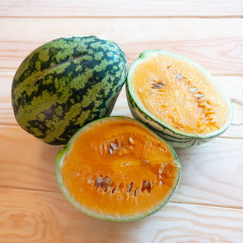 Watermelons - Orange Glow