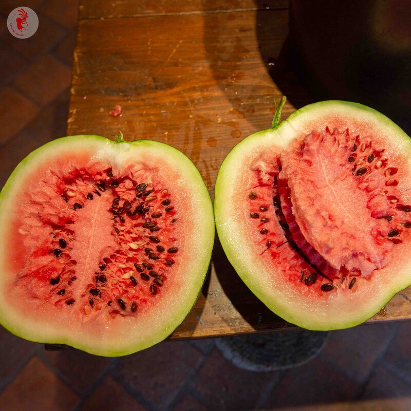 Watermelons - Astrakhanski