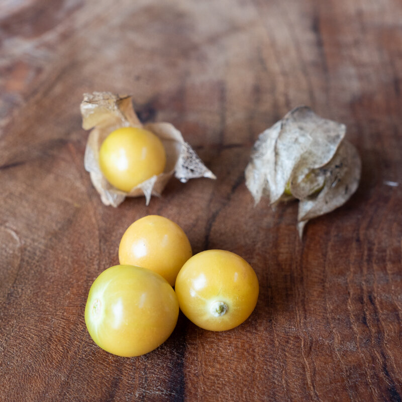 Physalis - Ground cherry